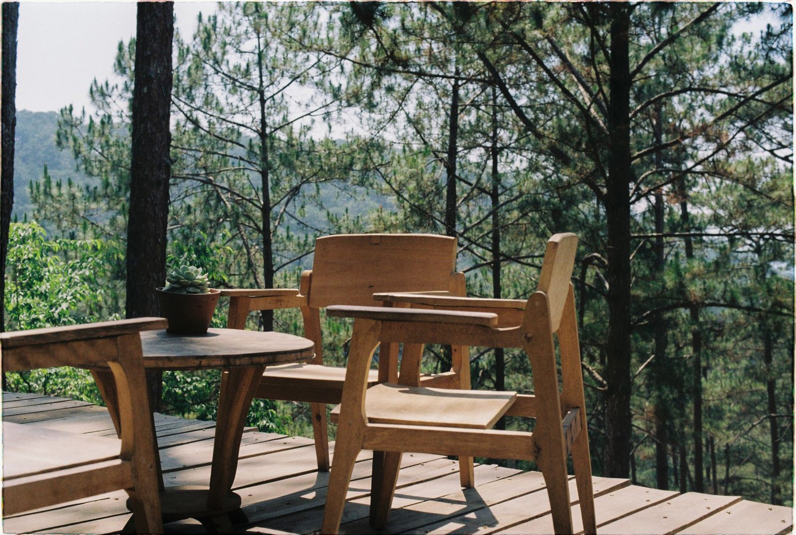 Wood deck with table and chairs overlooking pine forest